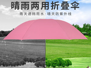 天堂雨伞-ys65322雨伞-定制雨伞印logo